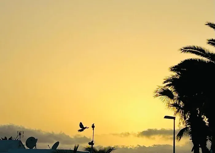 Laina Apartment Tías